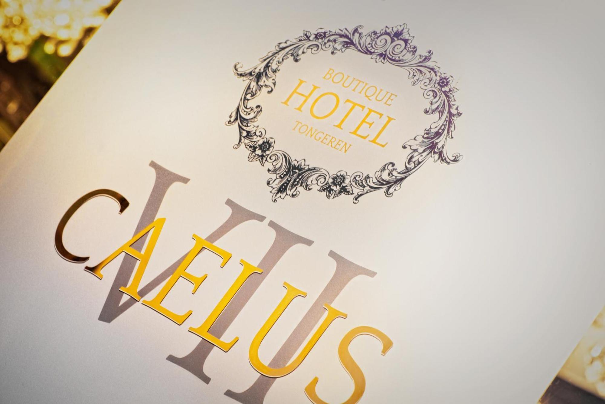 Boutique Hotel Caelus VII Tongeren Exteriör bild
